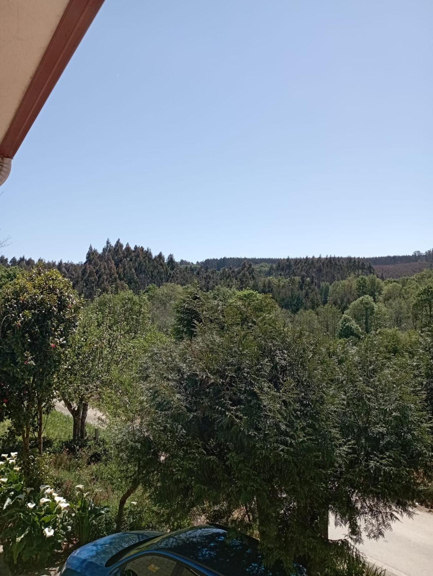 A Casa Do San Paio De Buscas Apartment Ordes Exterior photo