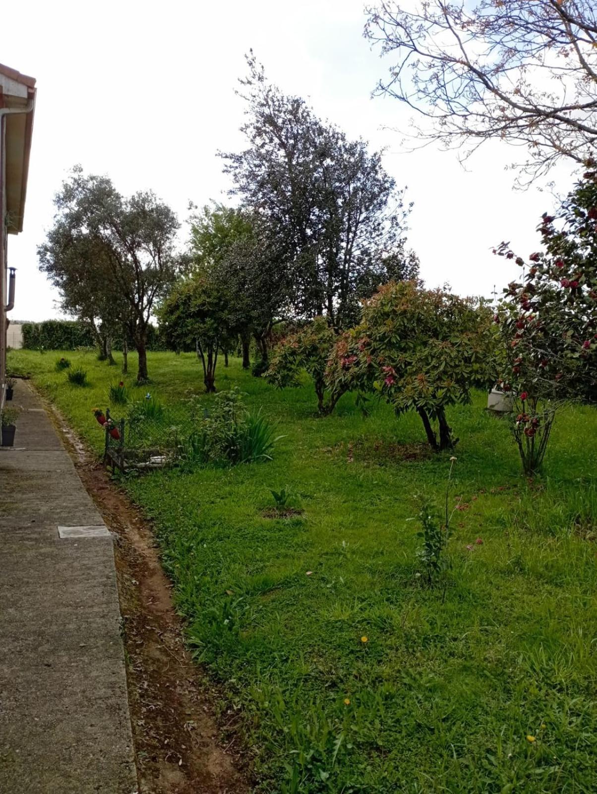 A Casa Do San Paio De Buscas Apartment Ordes Exterior photo